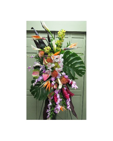 TROPICAL SPRAY